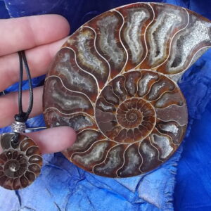 Ammonite pendants