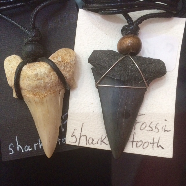 SHARK TEETH