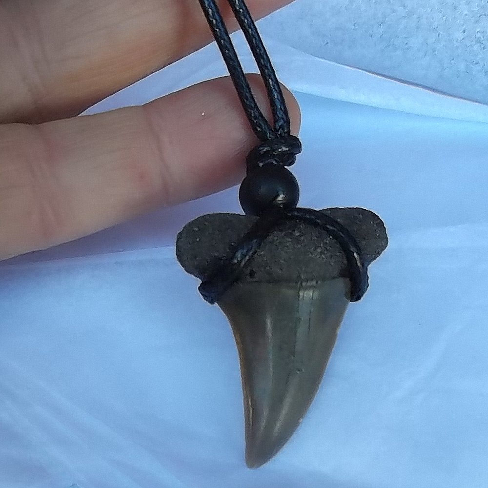 m_Fossil Mako shark tooth with wooden bead
