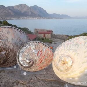 Perlemoen polished shells