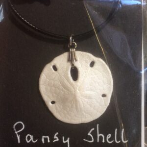 Shell pendants and shell earrings